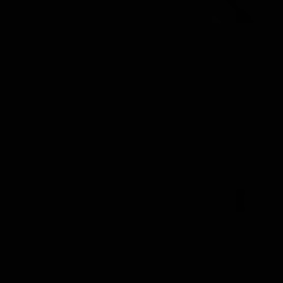 zahra_111